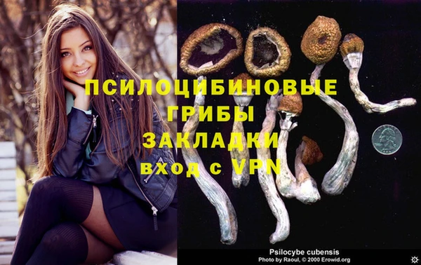 мескалин Балахна