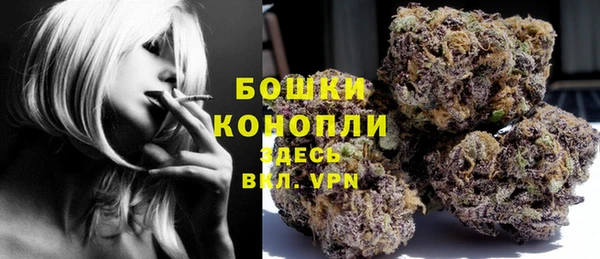 мяу мяу кристалл Гусь-Хрустальный