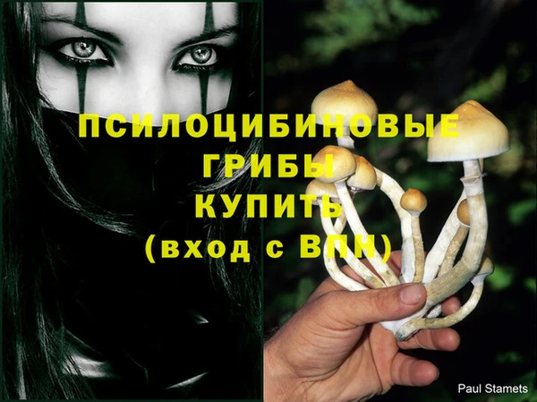 мяу мяу кристалл Баксан