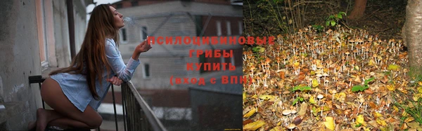 ALPHA PVP Сатка