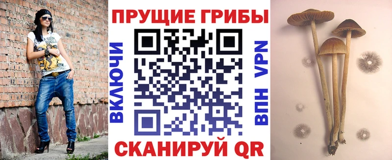 Псилоцибиновые грибы мухоморы Северобайкальск